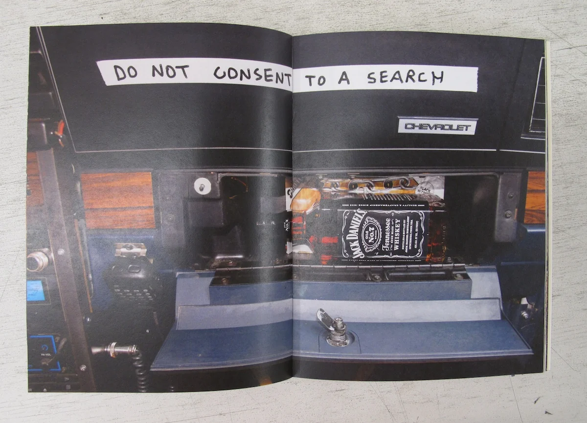 Caprice Owner's Manual - Image 6