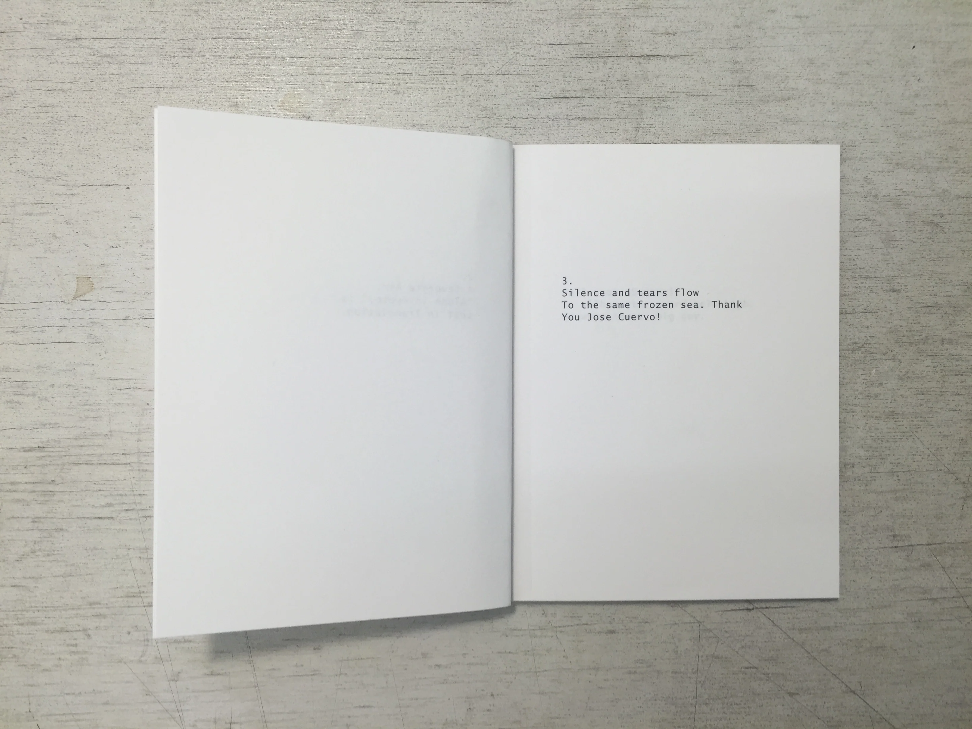 Twenty-Nine Haikus for Tom Sachs - Image 4