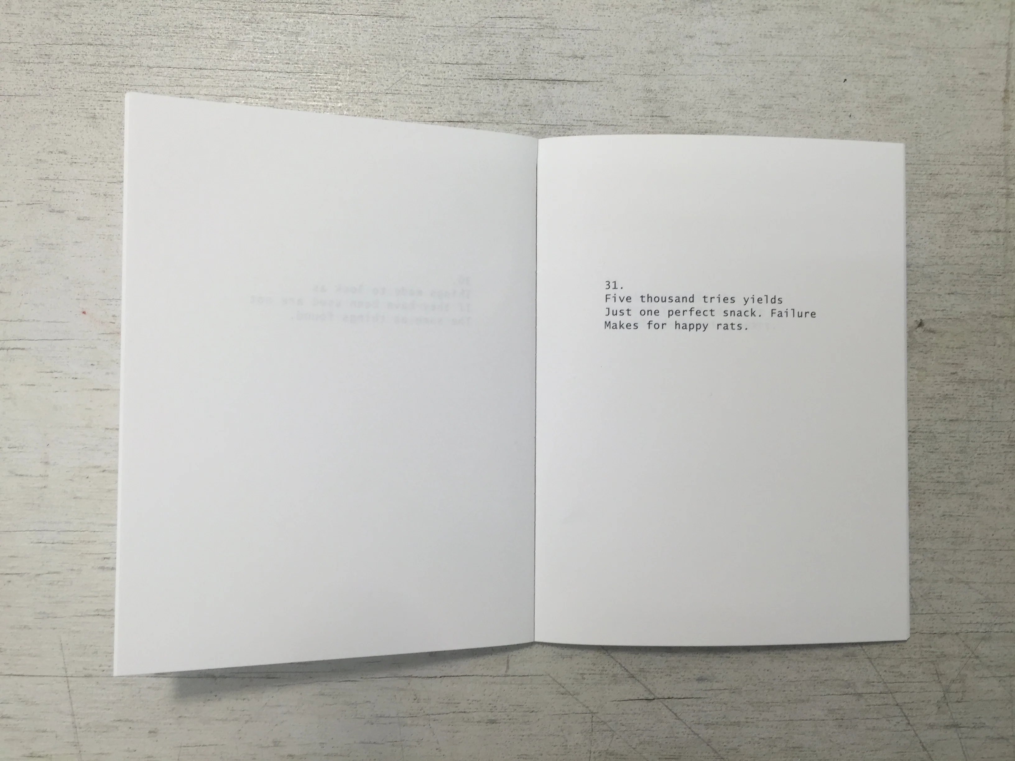 Twenty-Nine Haikus for Tom Sachs - Image 6