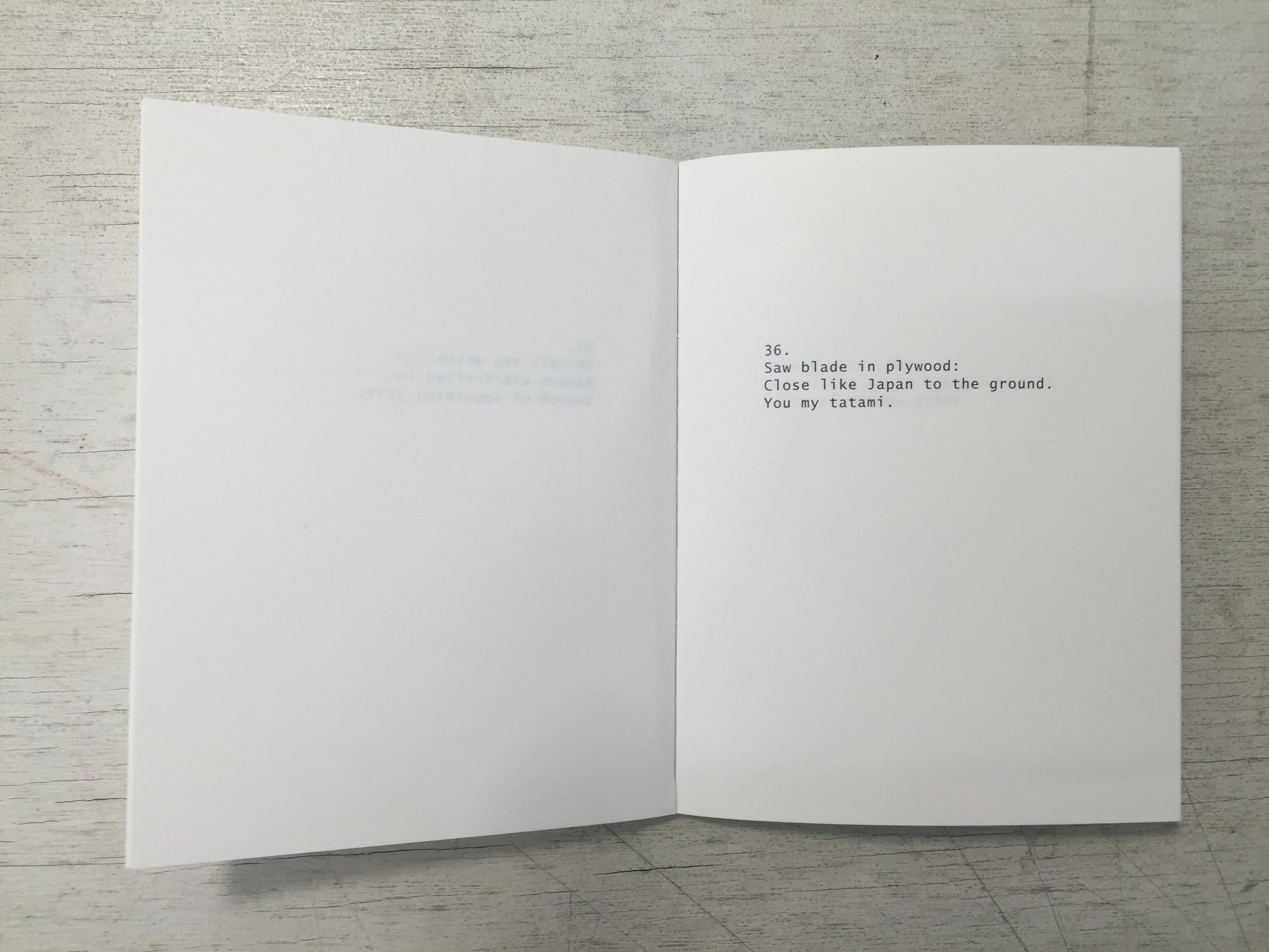 Twenty-Nine Haikus for Tom Sachs - Image 7
